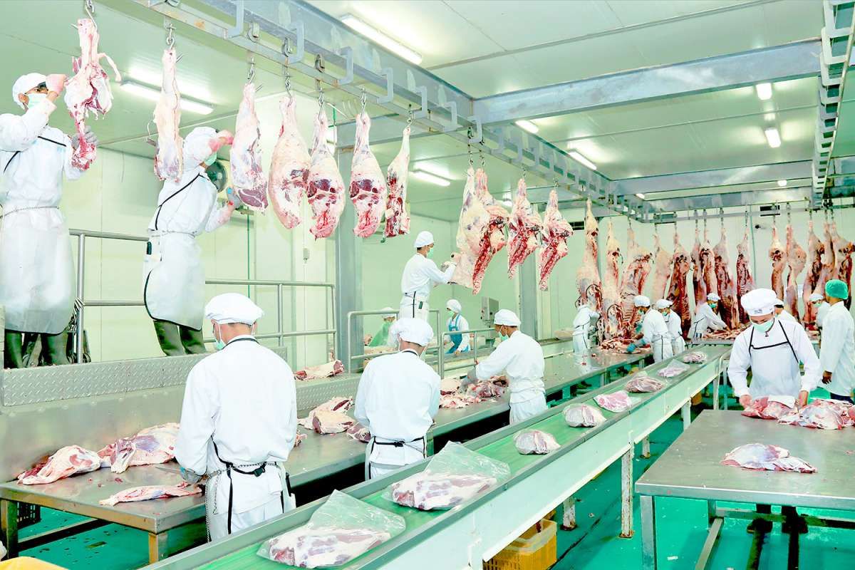 Strategi WMPP Perkuat Modal dan Tingkatkan Produksi